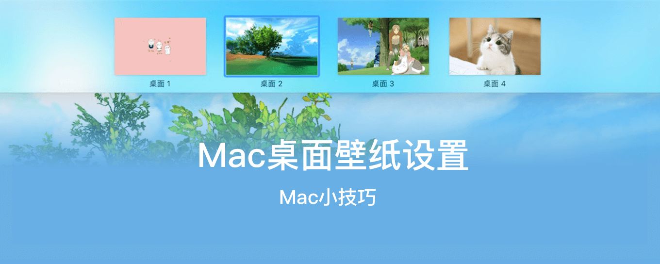 macOS<em>桌面</em>壁纸实用设置技巧